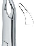 Cryer Bicuspids ,Incisors and Roots 150A
