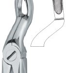 Third Molars 67 A